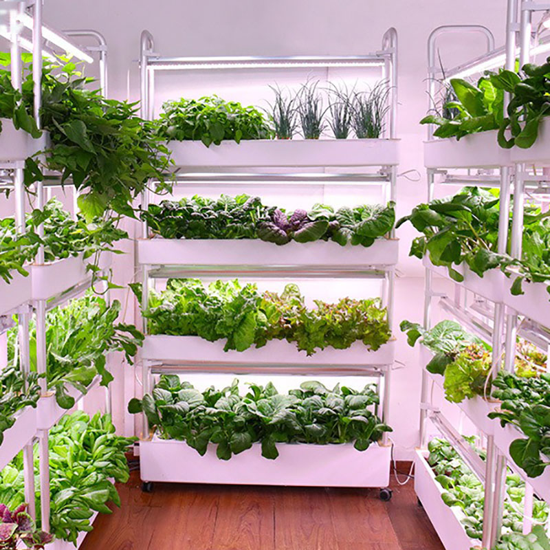 Hydroponic Tower Planter - 水耕栽培システム,家庭菜園の植物の栽培のための垂直のインテリジェントな屋内栽培テント