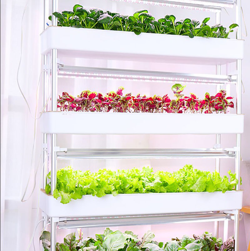 水耕栽培システム,家庭菜園の植物の栽培のための垂直のインテリ - Hydroponic Tower Planter のレビューと価格