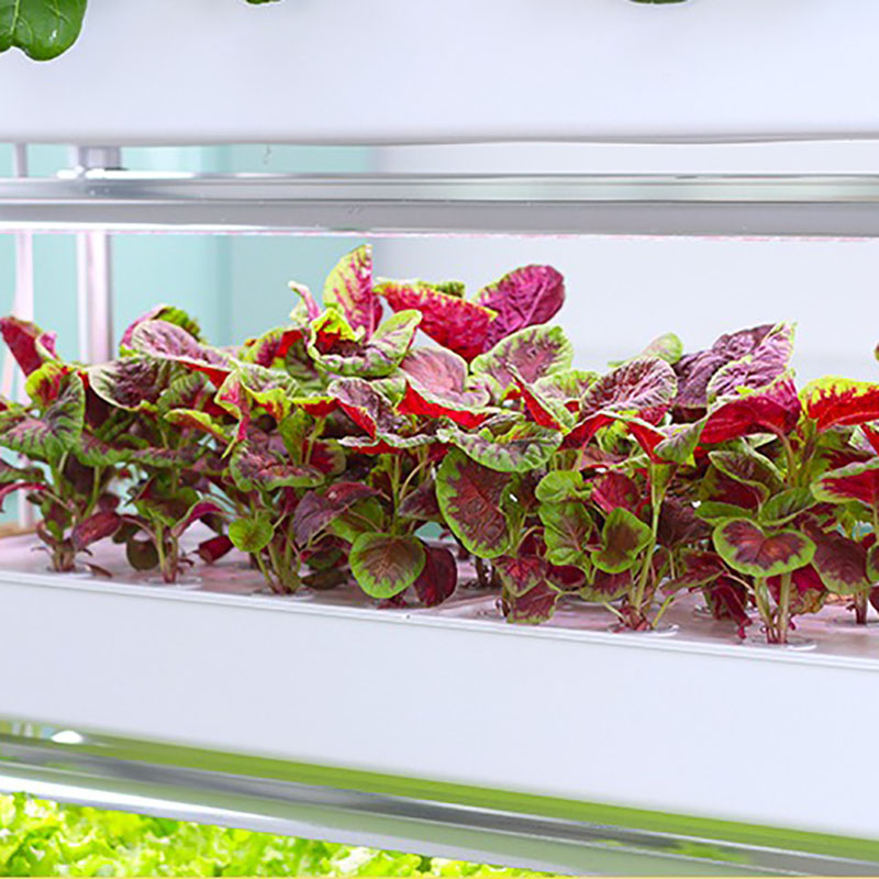 水耕栽培システム,家庭菜園の植物の栽培のための垂直のインテリ - Hydroponic Tower Planter のレビューと価格