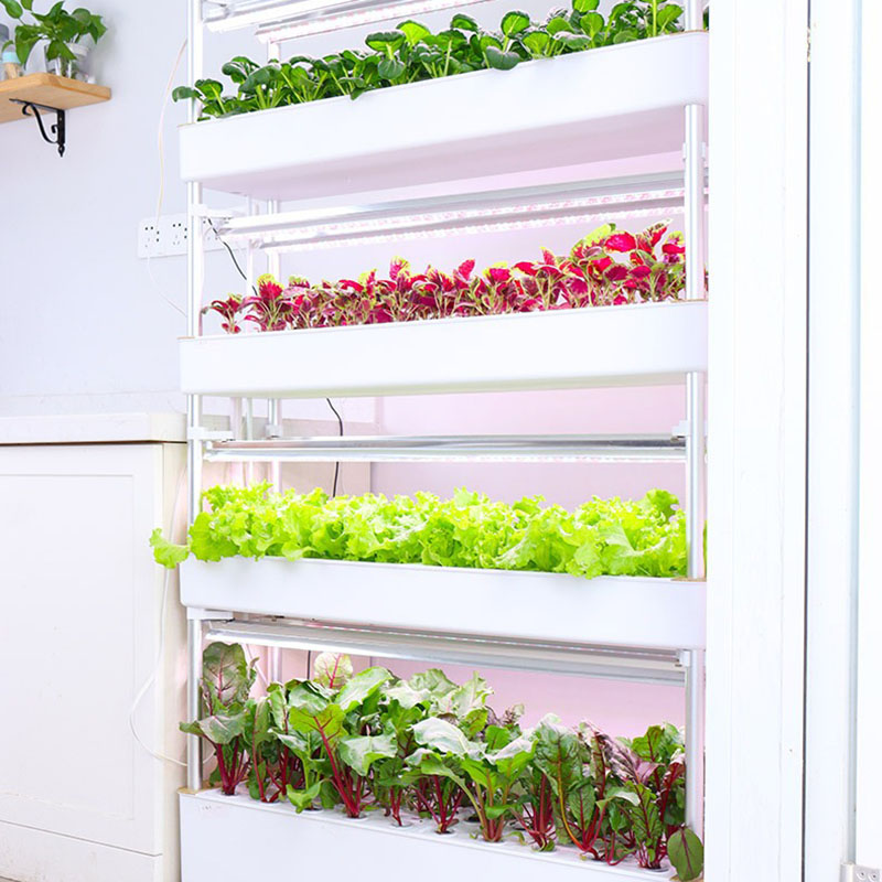 水耕栽培システム,家庭菜園の植物の栽培のための垂直のインテリ - Hydroponic Tower Planter のレビューと価格
